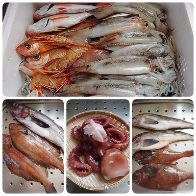 みんなの投稿の画像