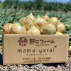 子どもたちが丸ごと食べれる♪春の新たまねぎ 淡路島野口ファーム
