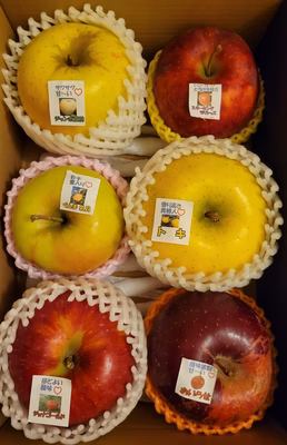 みんなの投稿の画像