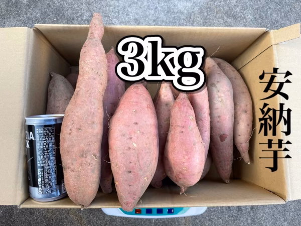 30日以上寝かせた（追熟した）極甘〜安納芋♪