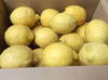 広島県産フレッシュ！レモン《約25〜30個入》