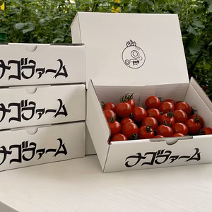 Nago's レギュラーミニトマト
