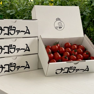 Nago's レギュラーミニトマト