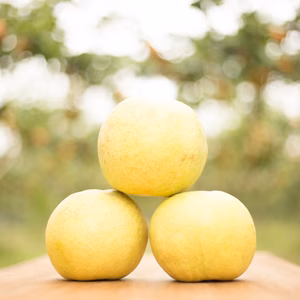 食べなきゃ損っ！！【かおり】まっちゃん梨　栃木県大田原市　余瀬（よぜ）産