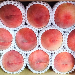 家庭用　桃（川中島）９玉前後　3kg　