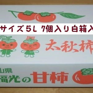 甘柿　｢太秋柿」 白箱　５L　７個入り　２.５kg以上