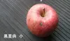 特別栽培りんご（ご家庭用）