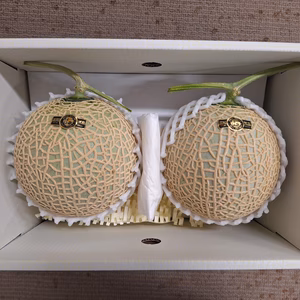 【限定20箱】小さめ2玉で2.6kg高糖度マスクメロン