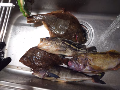 みんなの投稿の画像