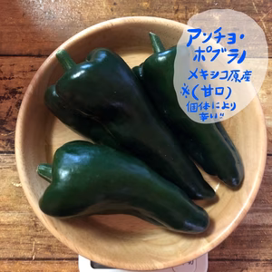 アンチョポブラノ