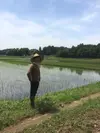 【幻の米】多古米コシヒカリ(特別栽培米)精米5kg 平成30年産