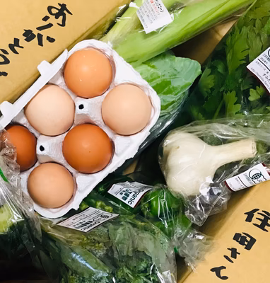 みんなの投稿の画像