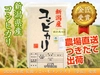 【金匠受賞】令和2年産新潟県認証特別栽培米コシヒカリ白米5kg