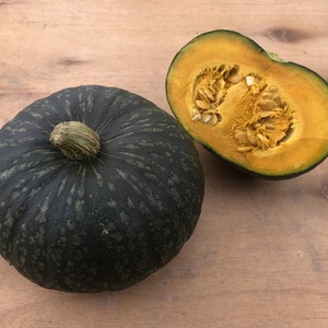 【ホッコリ甘くてなめらか！】シルキー栗かぼちゃ　