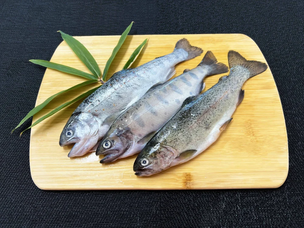 【おさかなギフト】山梨の川魚 食べ比べセット【3品目】