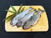【おさかなギフト】山梨の川魚 食べ比べセット【3品目】