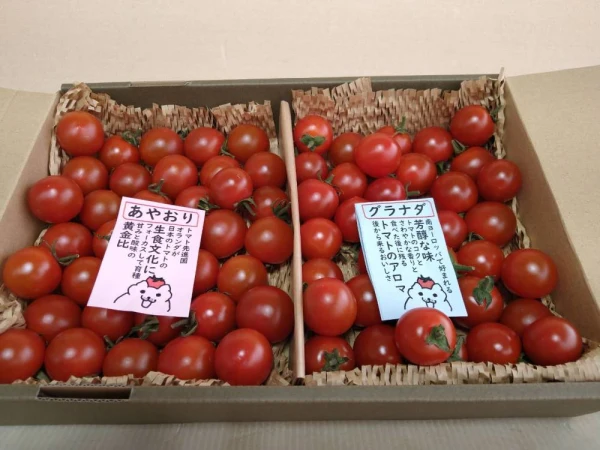 【新規出店お試し価格】ヨーロッパのミニトマト2種1箱★食べ比べ約800gバラ詰