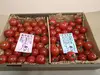 【新規出店お試し価格】ヨーロッパのミニトマト2種1箱★食べ比べ約800gバラ詰