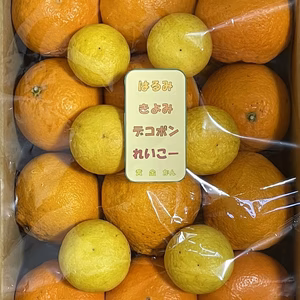 まるたま農園 5柑橘詰め合わせ　ご家庭用(箱込約5kg)