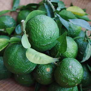 忘れられない贅沢な香りをお届け　「青柚子」【田万里屋】【無農薬・無肥料】