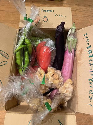 みんなの投稿の画像