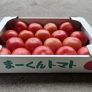【20%オフ価格！】土耕栽培と安心の減農薬栽培で作るま〜くんトマト　大玉トマト