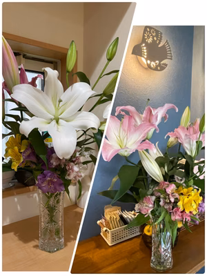 みんなの投稿の画像