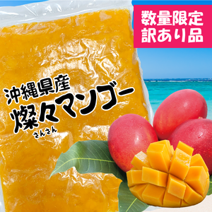 訳あり【沖縄県産】冷凍 燦々マンゴー（ピューレ状）【無添加・保存料不使用】