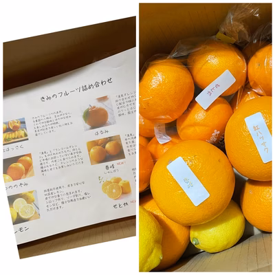 みんなの投稿の画像