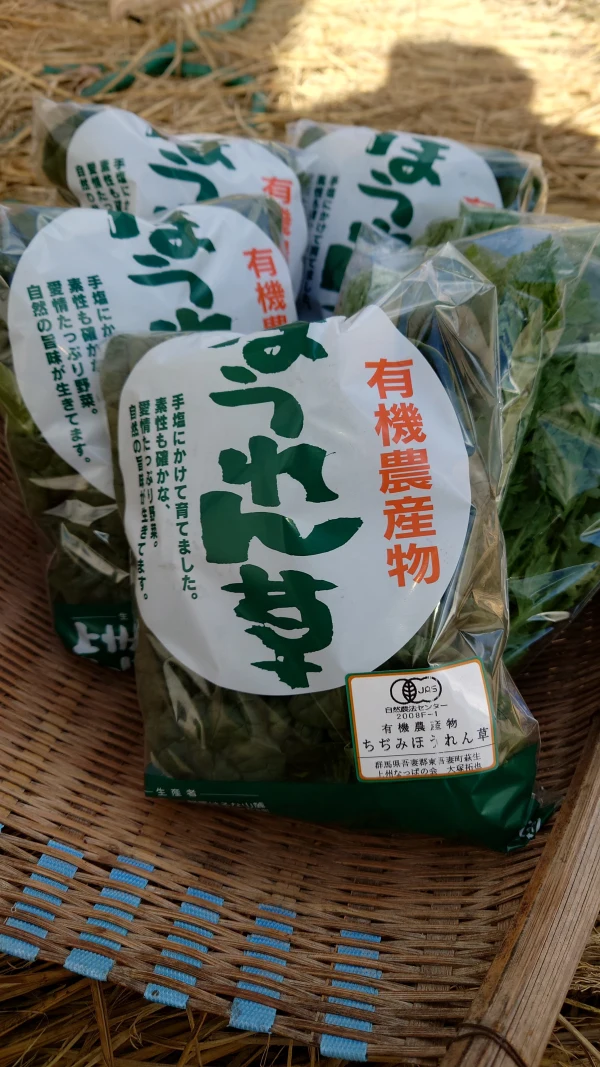 ちぢみほうれん草・春菊詰合せ