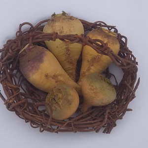 やさいやねこのて  ルタバカ 園主オススメ！ 農薬 化学肥料不使用 