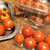 甘さと酸味のバランスが絶妙！フルーツトマト【フルティカ】