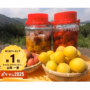 【冷凍梅】みなべの梅でおいしい梅シロップをつくろう！