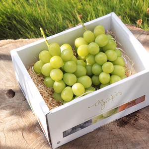 冬シャインマスカット 二箱セット