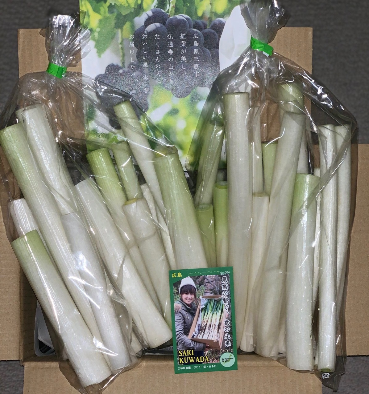 無農薬 長ネギ 白ネギ - 野菜