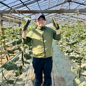 【常温配送/中ランク混合】3kg or 5㎏ きゅうり社長の新鮮朝どれきゅうり