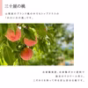 【8月上旬】山梨市からお届け「三十屋」の木熟桃(3kg 9-11玉)