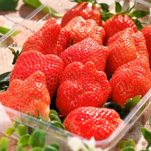 【お徳用大パック】その日取れた美味しい品種を選んで発送します 1kg～ 