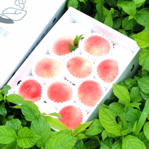 再販！糖度15度以上【まるでスイーツ】感動桃【ポケマルの夏ギフト】