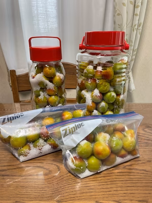 みんなの投稿の画像