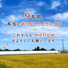 周年祭＆収穫祭｜9周年ありがとう企画！ ☆トマトベリー 糖度9~11☆