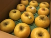 【シャキシャキ】黄色いりんご　2品種食べ比べセット 約3kg～5kg