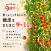 周年祭＆収穫祭｜9周年ありがとう企画！ ☆トマトベリー 糖度9~11☆