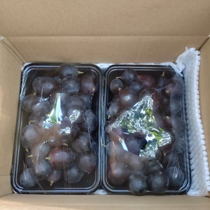 【超超訳あり】ナガノパープル １kg　(500ｇ×2パック)【バラ粒・加工用】