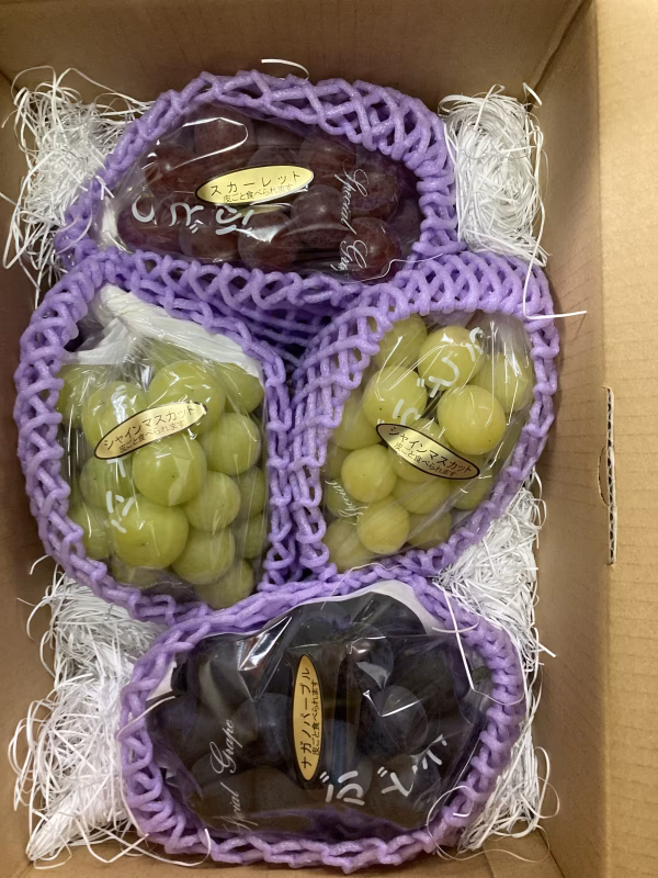 3色食べ比べぶどうセット　新品種スカーレット、シャインマスカット、ナガノパープル
