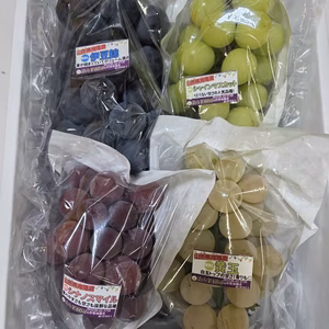 【9周年福袋】特別価格★訳あり大粒ぶどう食べ比べ！！おまかせ3～5品種入り