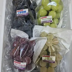 【9周年福袋】特別価格★訳あり大粒ぶどう食べ比べ！！おまかせ3～5品種入り