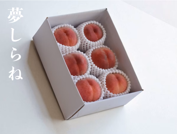 【数量限定・レア桃】夢しらね｜南アルプスの夏を彩る華やかな希少桃