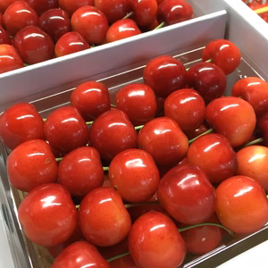さくらんぼ  紅秀峰  贈答用（クール便）※6月中下旬頃発送予定