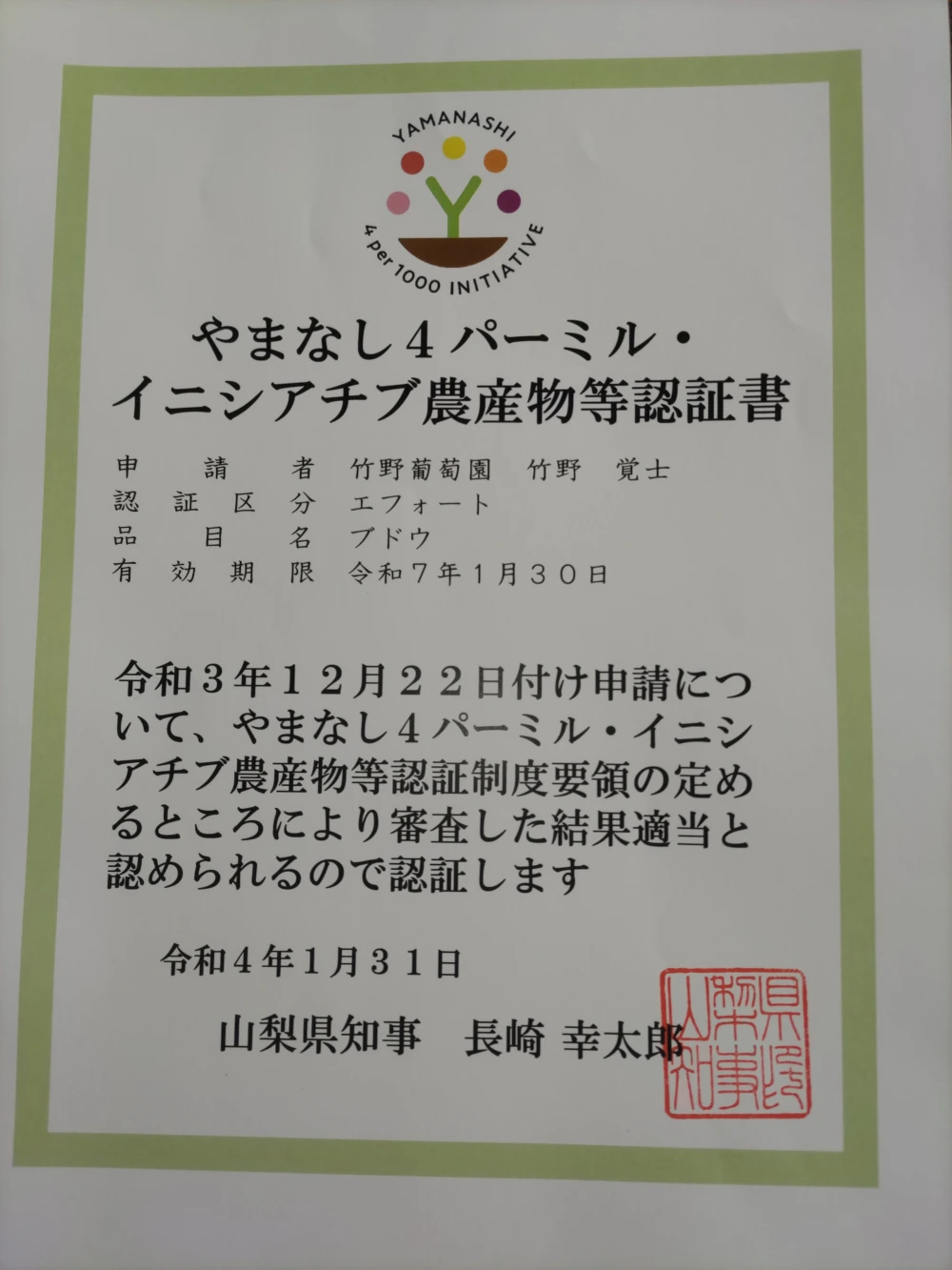 令和６年度　栽培体験　シャインマスカット